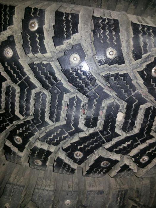Neumáticos de invierno Tunga Nordway: opiniones. 
