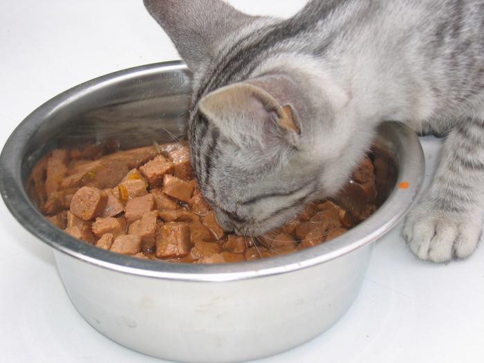 Colinas de comida para gatos