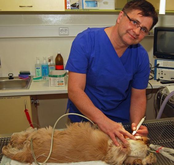 Vida sana de las mascotas de Ivanov. Clínica veterinaria