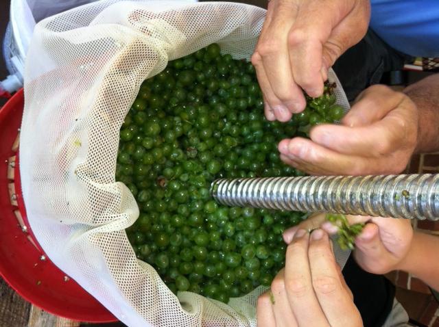 ¿Cómo hacer una prensa para uvas con tus propias manos?