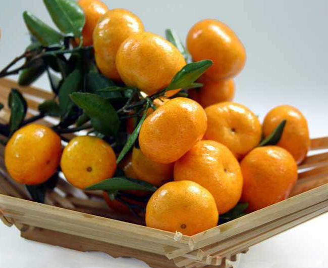 Cómo mantener las mandarinas hasta el nuevo año en un estado fresco