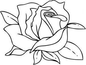 Cómo dibujar una flor de rosa en etapas