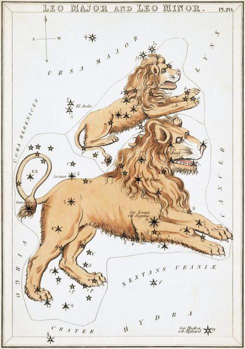 Constellation Lions: ubicación y estrellas brillantes