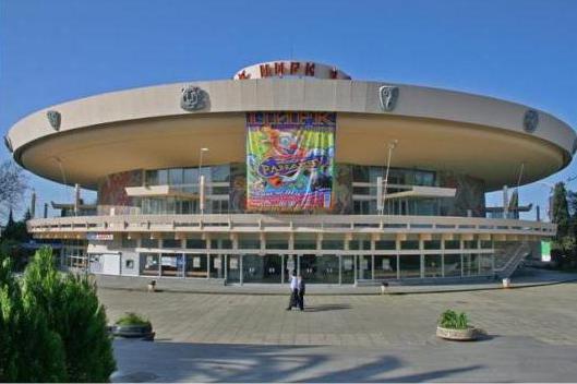 Circus in Sochi: descripción, críticas