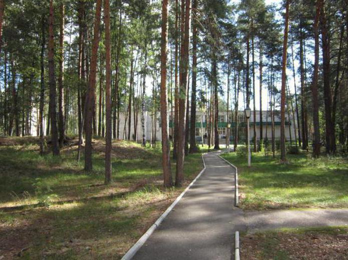 sanatorio bosque ruso